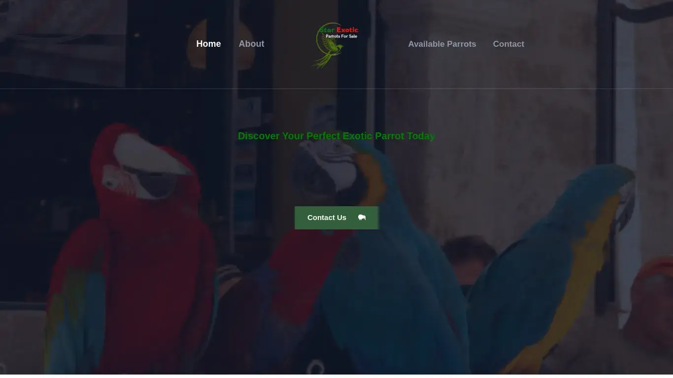 is star exotic parrots for sale – My WordPress Blog legit? screenshot