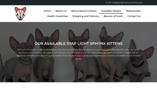 Scam Website Screenshot Starlightsphynxkittens.com