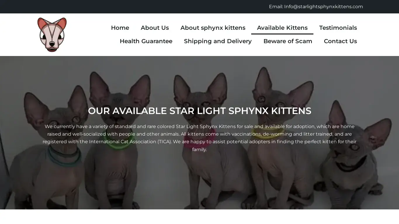 is starlightsphynxkittens.com legit? screenshot