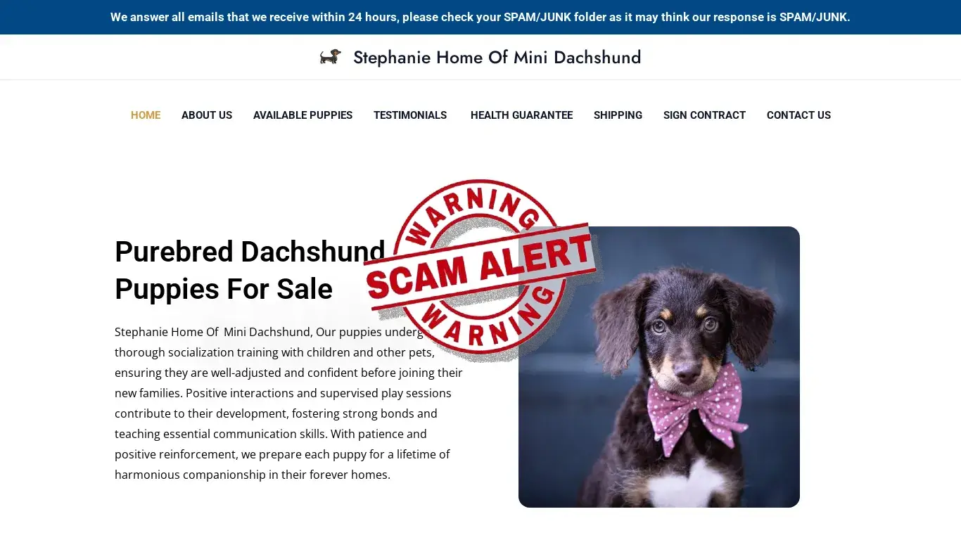 is Stephanie Home Of Mini Dachshund – Purebred Dachshund Puppies For Sale legit? screenshot