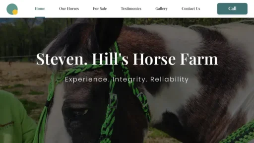 Scam Website Screenshot Stevenshorses.online