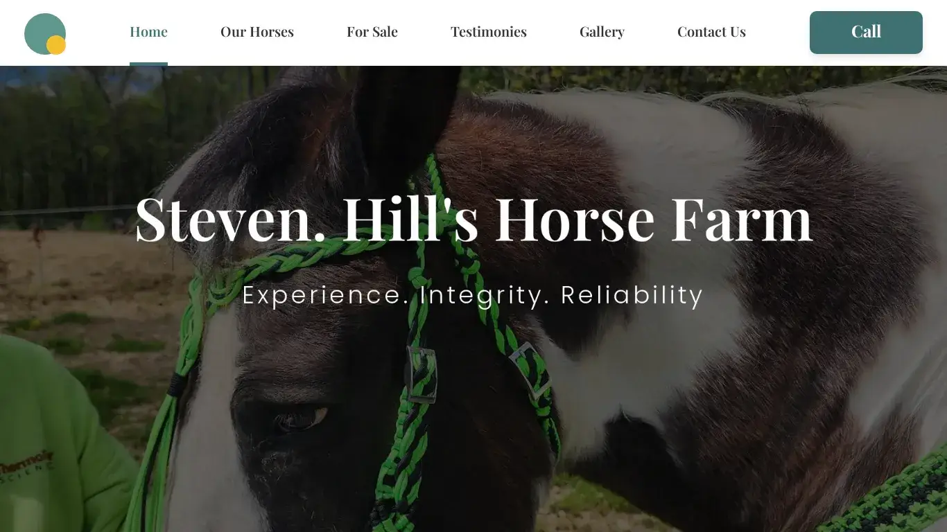 Scam Website Screenshot Stevenshorses.online