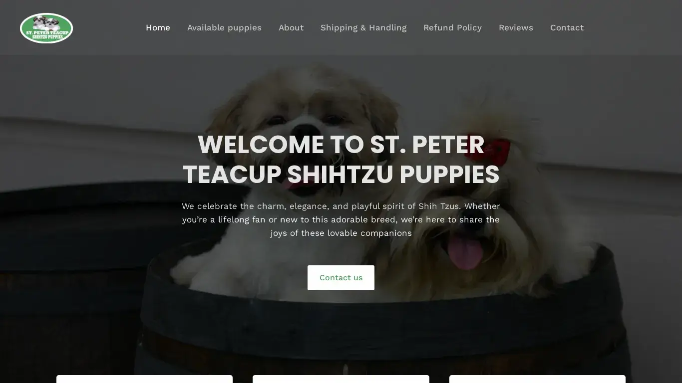 stpetter teacup shihtzu puppies com