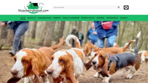 Scam Website Screenshot Strawberrybasset.com