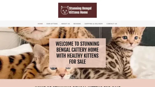 Scam Website Screenshot Stunningbengalkittenshome.com