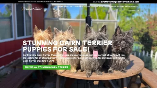 Scam Website Screenshot Stunningcairnterrierhome.com