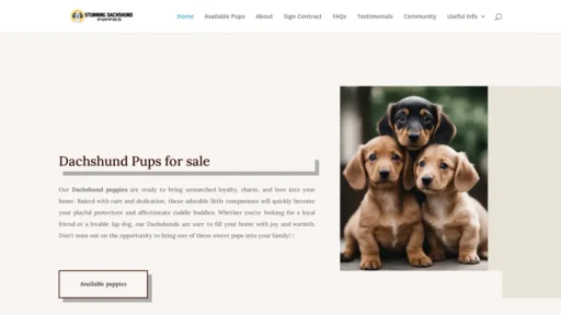 Scam Website Screenshot Stunningdachshundpuppies.com