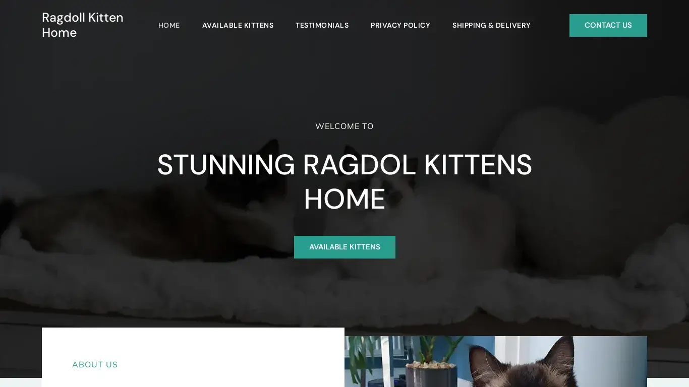 Scam Website Screenshot Stunningragdollkittenhome.com