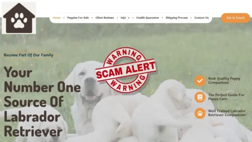 Scam Website Screenshot Sunnysidepaws.com