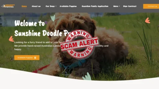 Scam Website Screenshot Sunshinedoodlepuppies.com
