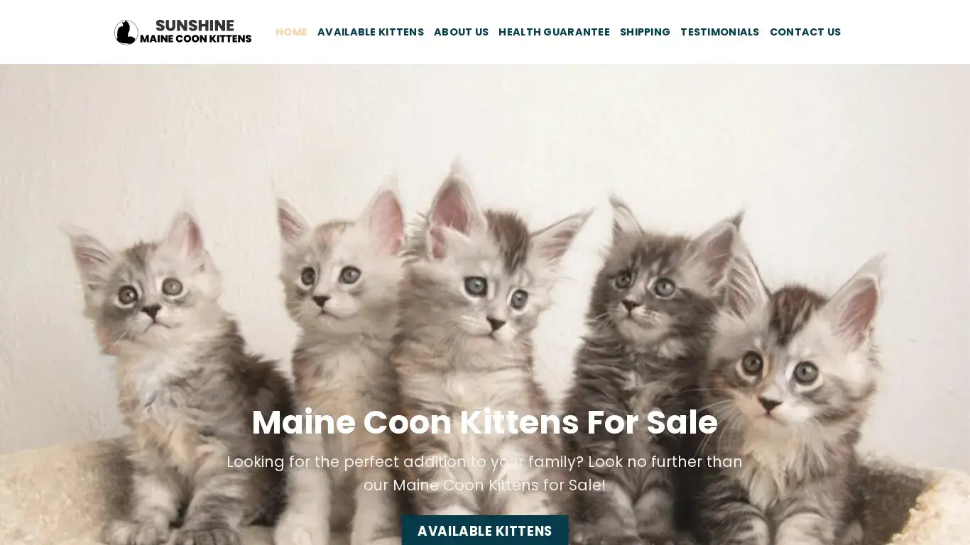 is Home | Sunshine Maine Coon Kittens legit? screenshot