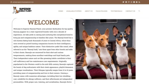 Scam Website Screenshot Superiorbasenjiplanet.com