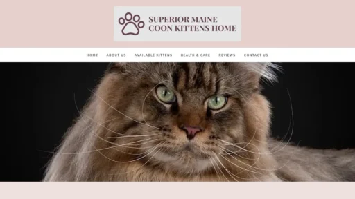 Scam Website Screenshot Superiormainecoonkittens.com