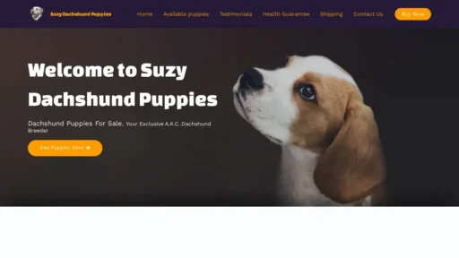 Scam Website Screenshot Suzydachshundpuppies.com
