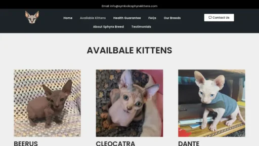 Scam Website Screenshot Symbolicsphynxkittens.com