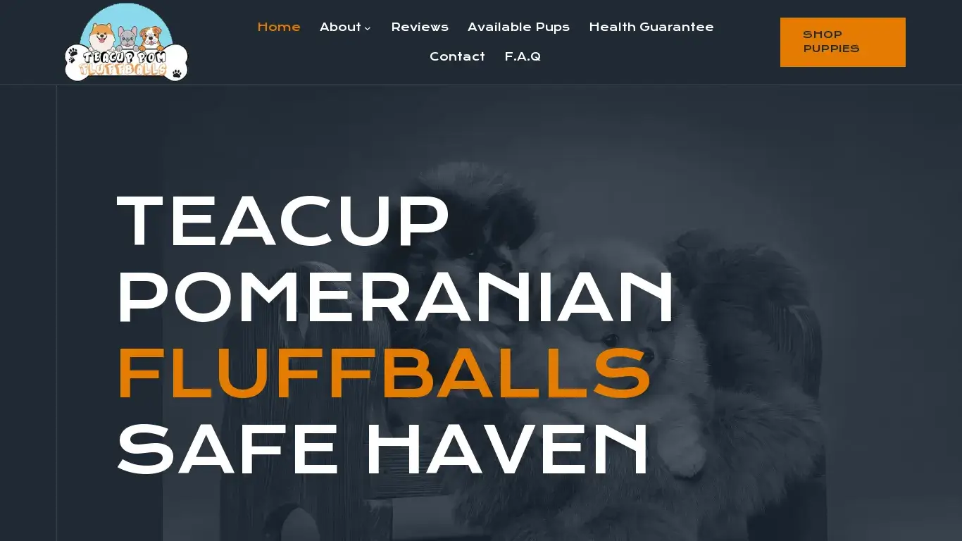 is Teacup Pomeranian Fluffballs legit? screenshot