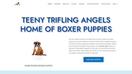 Scam Website Screenshot Teenytriflingangels.com