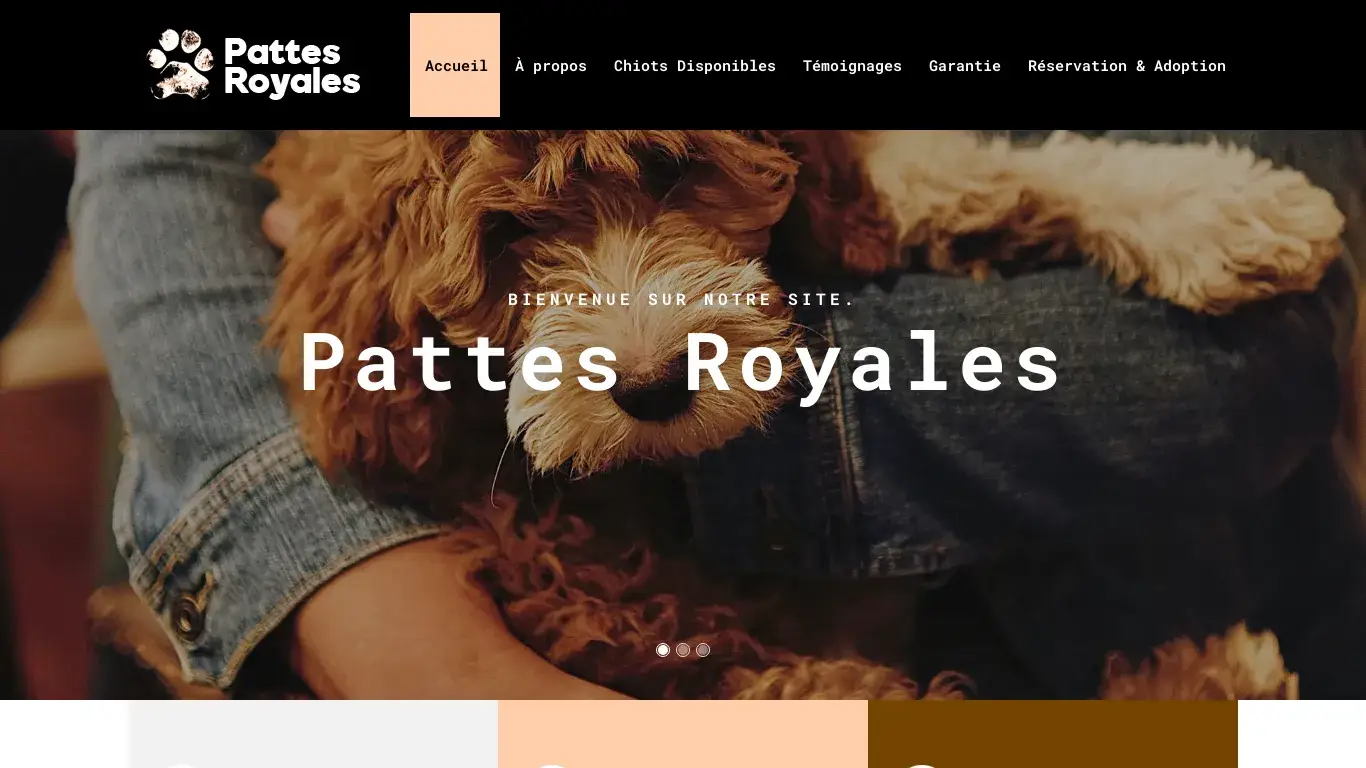 is Accueil | Pattes Royales legit? screenshot