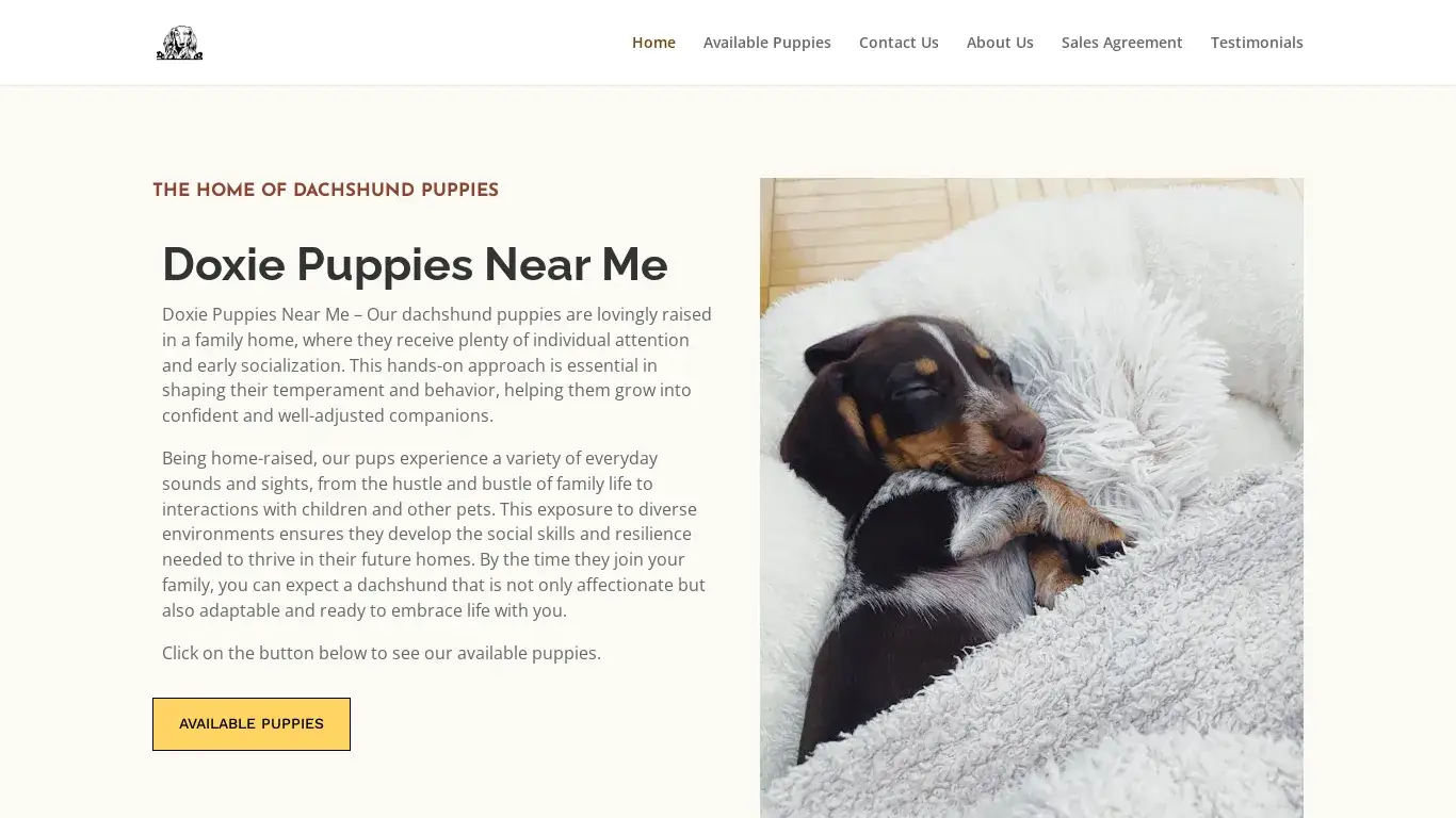 is Doxie Puppies Near Me - $500 - Licensed Breeder legit? screenshot