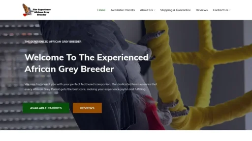 Scam Website Screenshot Theexperienceafricangreybreeder.com
