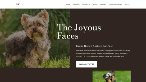 Scam Website Screenshot Thejoyousfaces.com