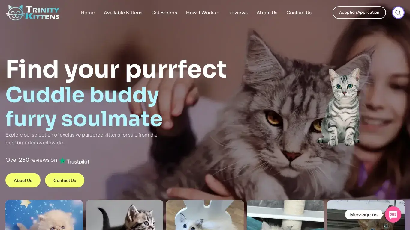 is The Kittens Palace – Kittens for sale at best prices legit? screenshot