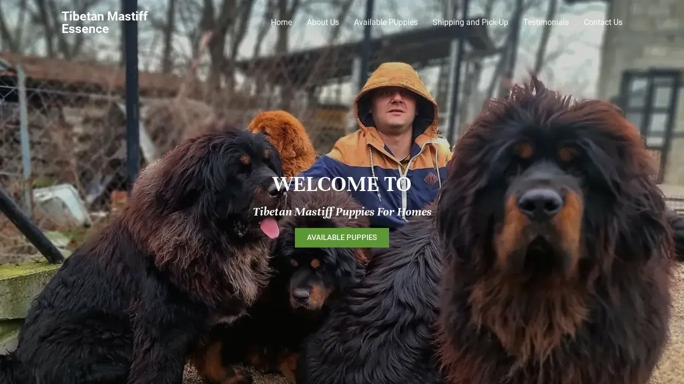 is Home - Tibetan Mastiff Essence legit? screenshot