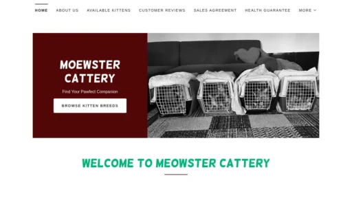 Scam Website Screenshot Ticameowster.com