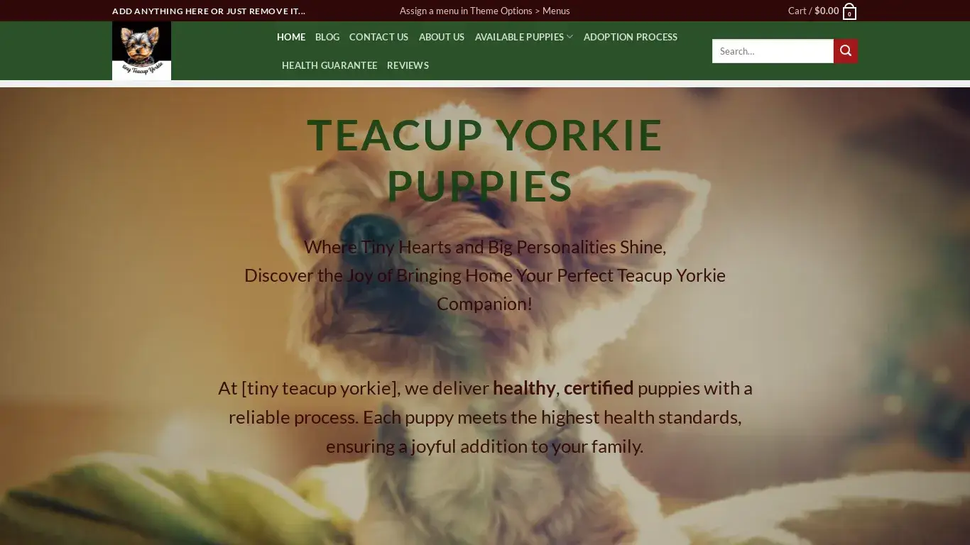 is tinyteacupyorkies.com legit? screenshot