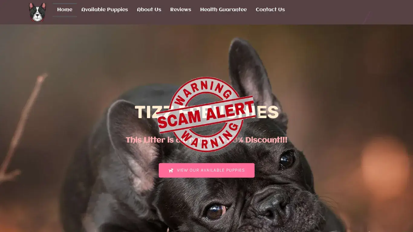 is TIZZ FRENCHIES – French Bulldog puppies for sale near you legit? screenshot