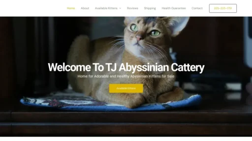 Scam Website Screenshot Tjabyscattery.com