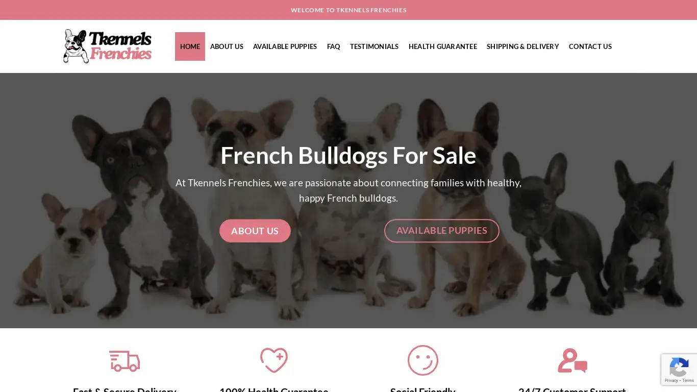 is Tkennels Frenchies – tkennels frenchies for sale legit? screenshot