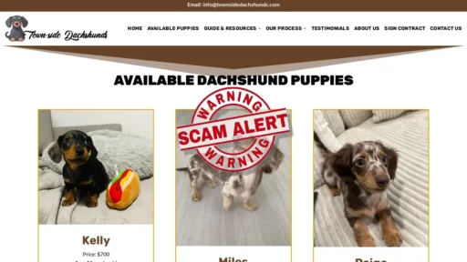 Scam Website Screenshot Townsidedachshunds.com