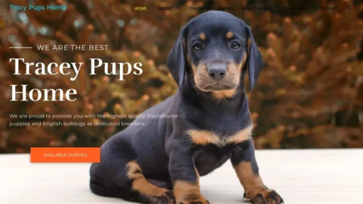 Scam Website Screenshot Traceypupshome.com