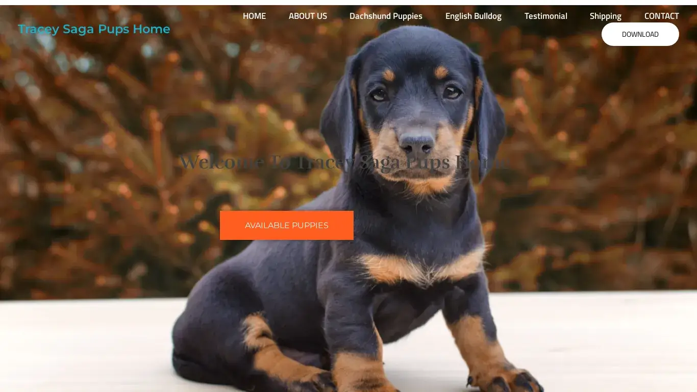 is HOME - Tracey Saga Pups Home legit? screenshot