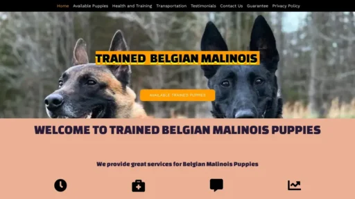 Scam Website Screenshot Trainedbelgianmalinoispuppies.com