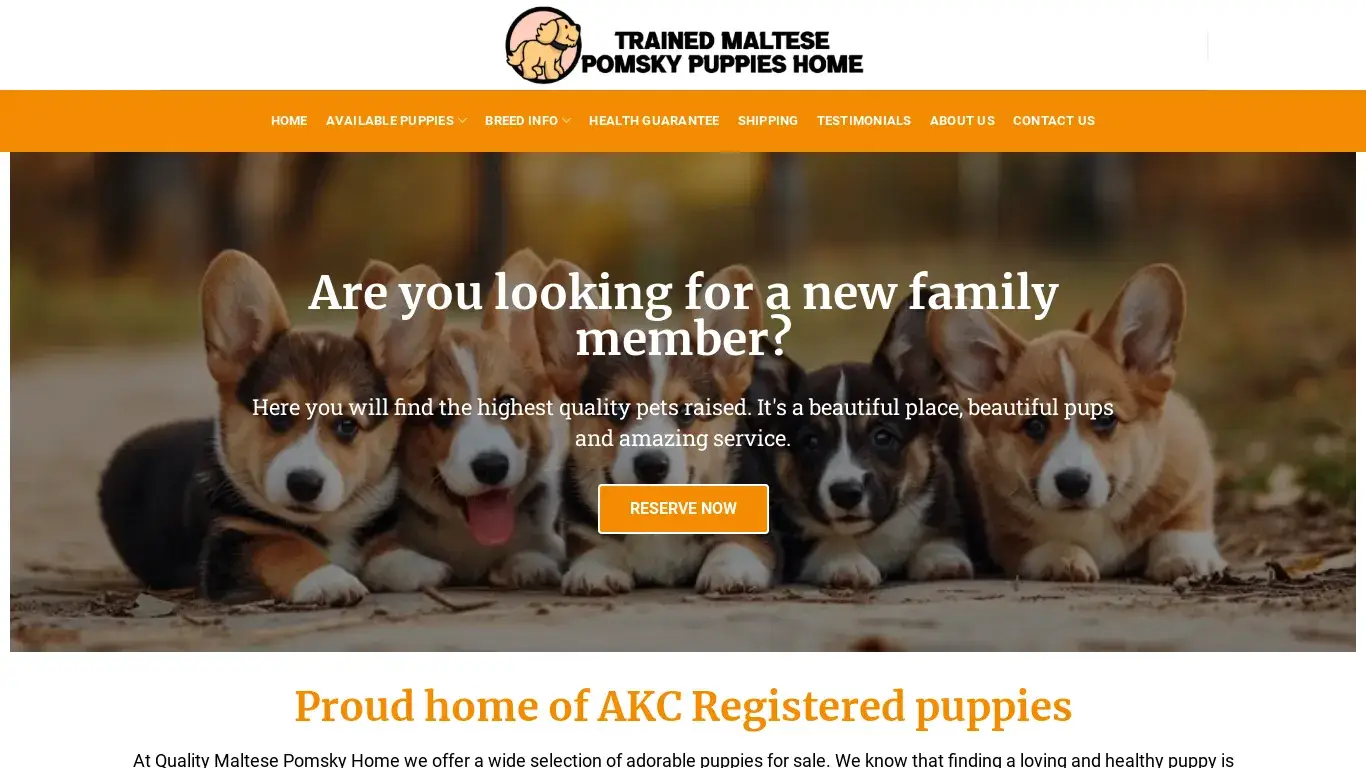 is trainedmaltesepomskypupshome.com legit? screenshot