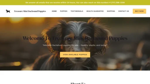 Scam Website Screenshot Treasureminidachshundpuppies.com