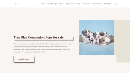 Scam Website Screenshot Truebluecompanions.com