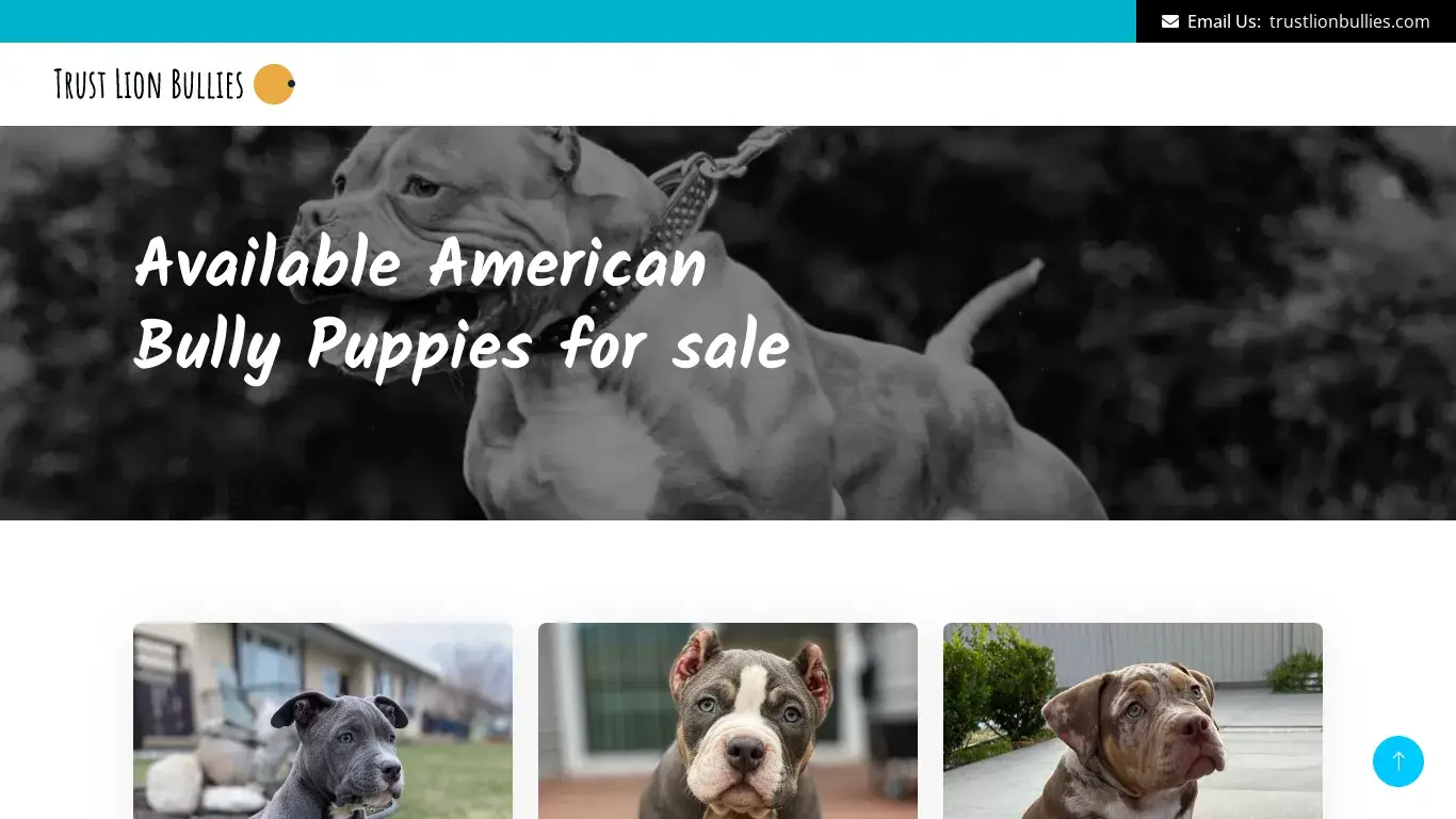 is Available Puppies - Trust Lion Bullies legit? screenshot
