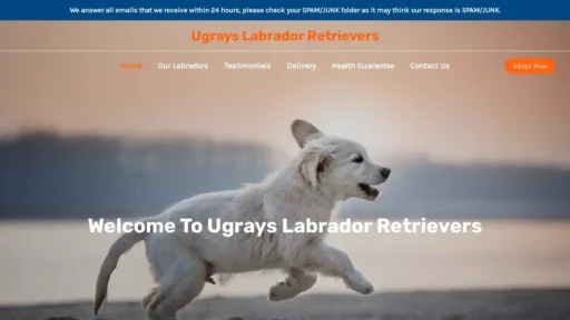 Scam Website Screenshot Ugrayslabradorretrievers.com
