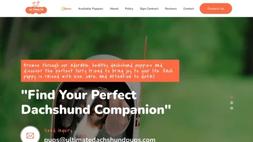 Scam Website Screenshot Ultimatedachshundpups.com