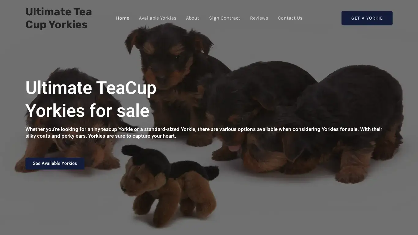 is Ultimate Tea Cup Yorkies – Buy Yorkie Pups online legit? screenshot