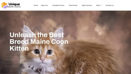 Scam Website Screenshot Uniquemainecoonshome.com