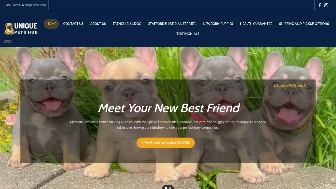 is Unique Pets Hub legit? screenshot