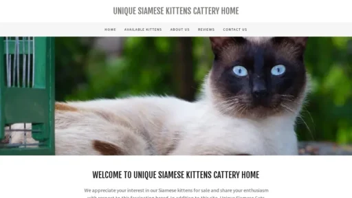Scam Website Screenshot Uniquesiamesekittens.com
