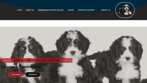 Scam Website Screenshot Vanzbernedoodle.com