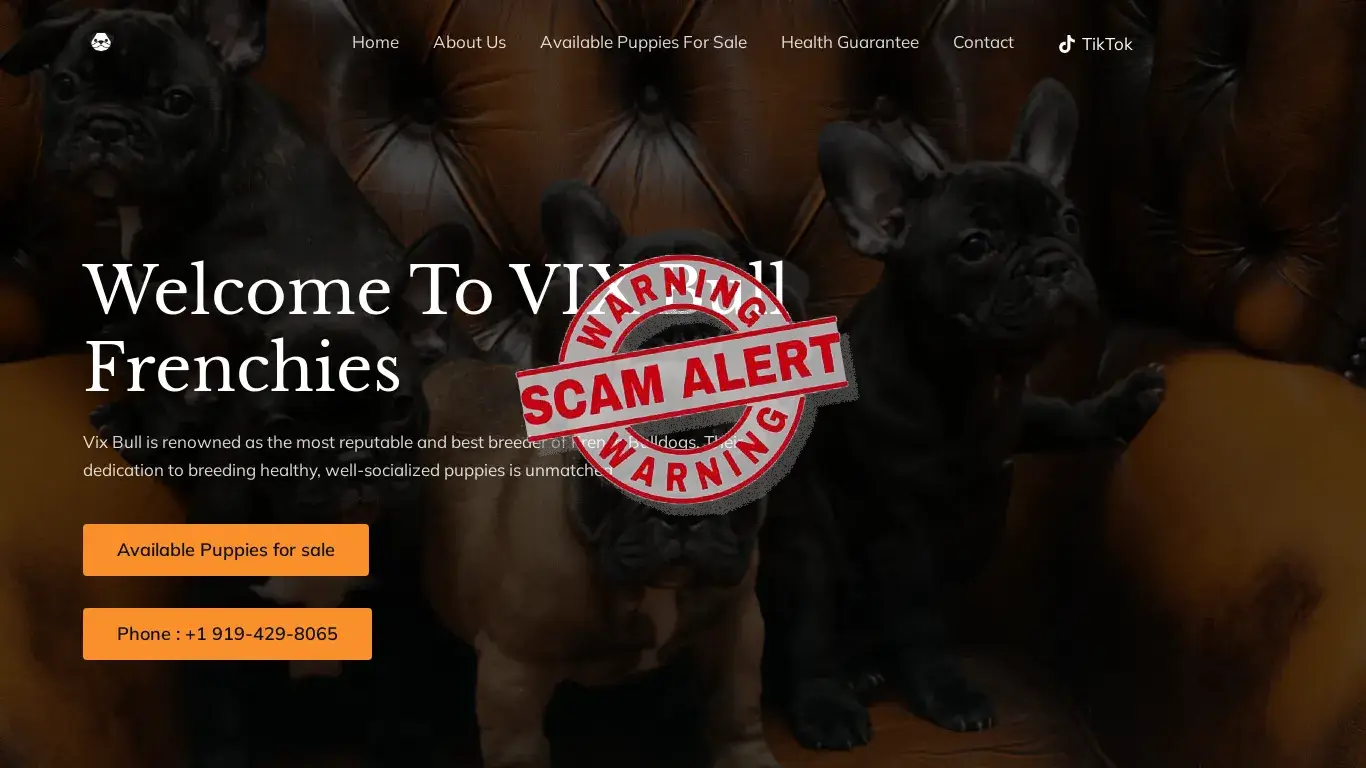 is Vix bull frenchies – bull dogs legit? screenshot