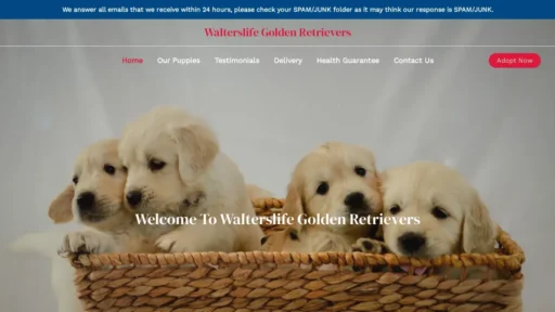 Scam Website Screenshot Walterslifegoldenretrievers.com