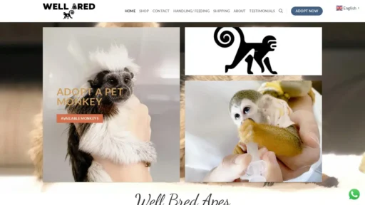 Scam Website Screenshot Wellbredapes.com